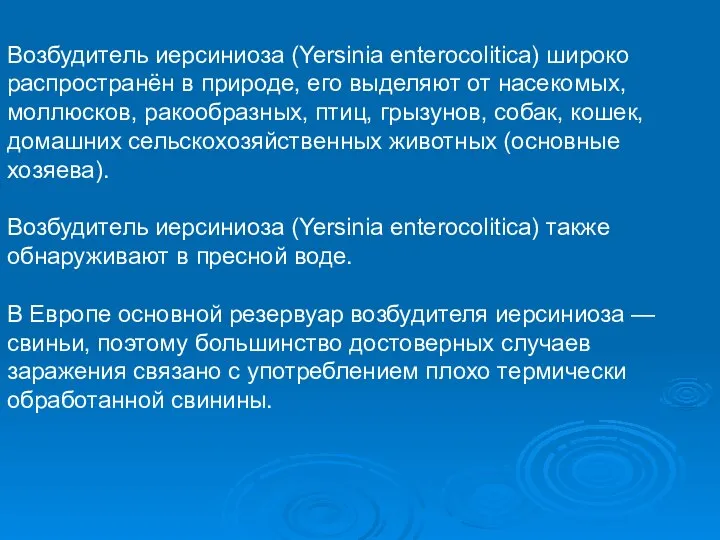 Возбудитель иерсиниоза (Yersinia enterocolitica) широко распространён в природе, его выделяют от