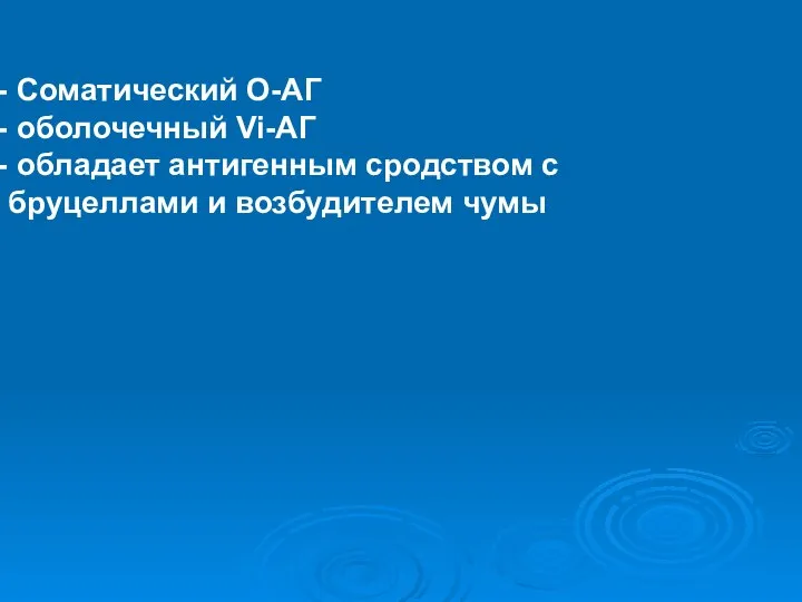 Соматический О-АГ оболочечный Vi-АГ обладает антигенным сродством с бруцеллами и возбудителем чумы