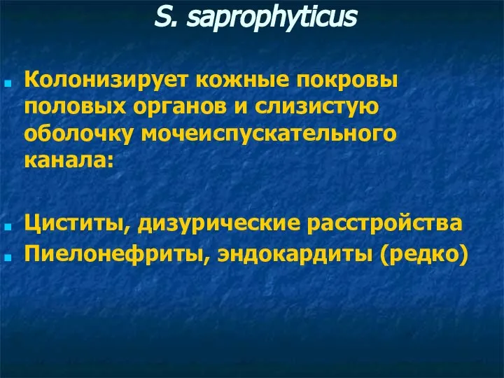 S. saprophyticus Колонизирует кожные покровы половых органов и слизистую оболочку мочеиспускательного