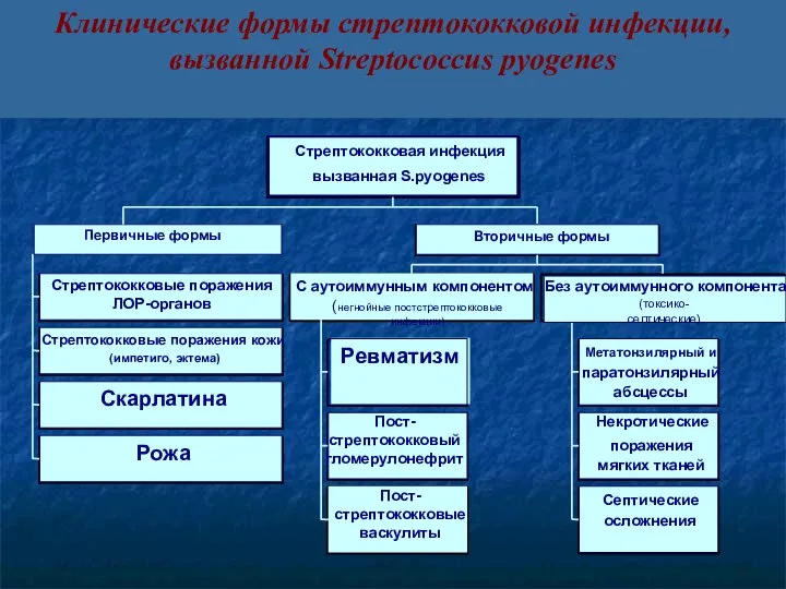 Клинические формы стрептококковой инфекции, вызванной Streptococcus pyogenes