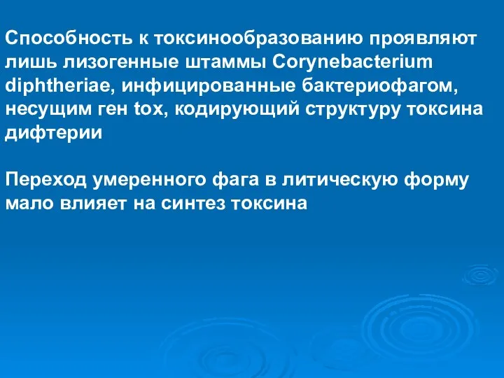 Способность к токсинообразованию проявляют лишь лизогенные штаммы Corynebacterium diphtheriae, инфицированные бактериофагом,