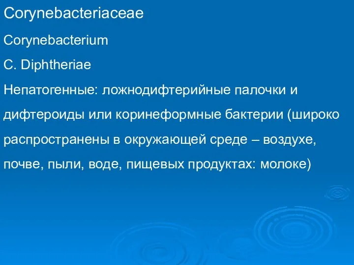 Corynebacteriaceae Corynebacterium C. Diphtheriae Непатогенные: ложнодифтерийные палочки и дифтероиды или коринеформные