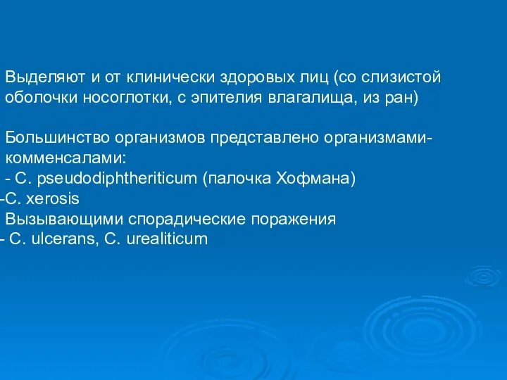 Выделяют и от клинически здоровых лиц (со слизистой оболочки носоглотки, с