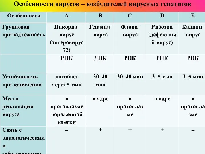 Особенности вирусов – возбудителей вирусных гепатитов