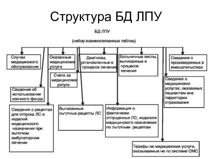 Структура БД ЛПУ