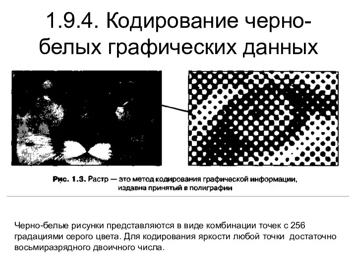 1.9.4. Кодирование черно-белых графических данных Черно-белые рисунки представляются в виде комбинации