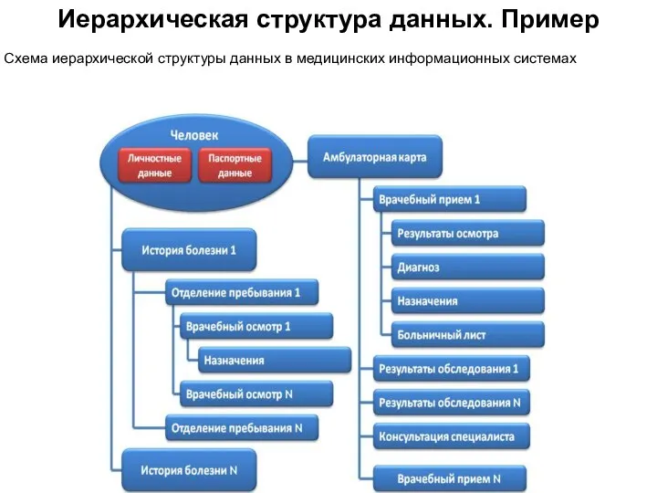 Иерархическая структура данных. Пример Схема иерархической структуры данных в медицинских информационных системах