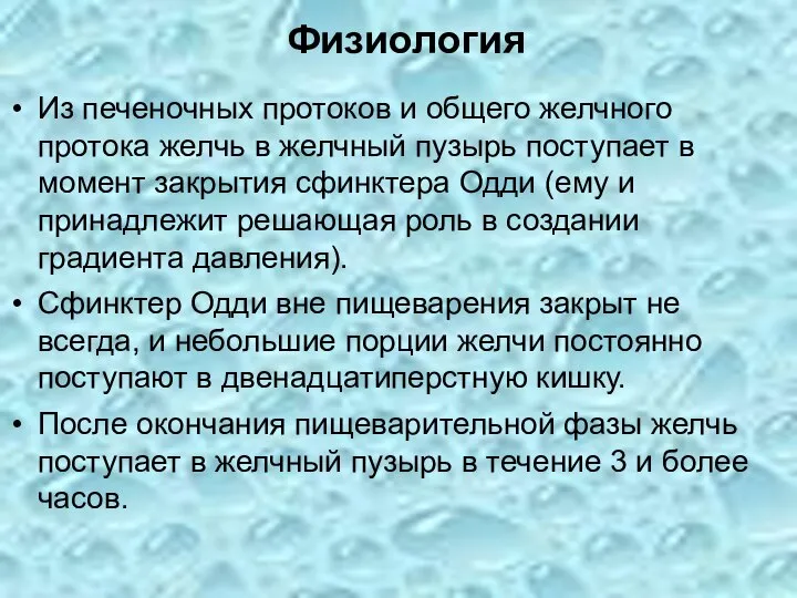 Физиология Из печеночных протоков и общего желчного протока желчь в желчный