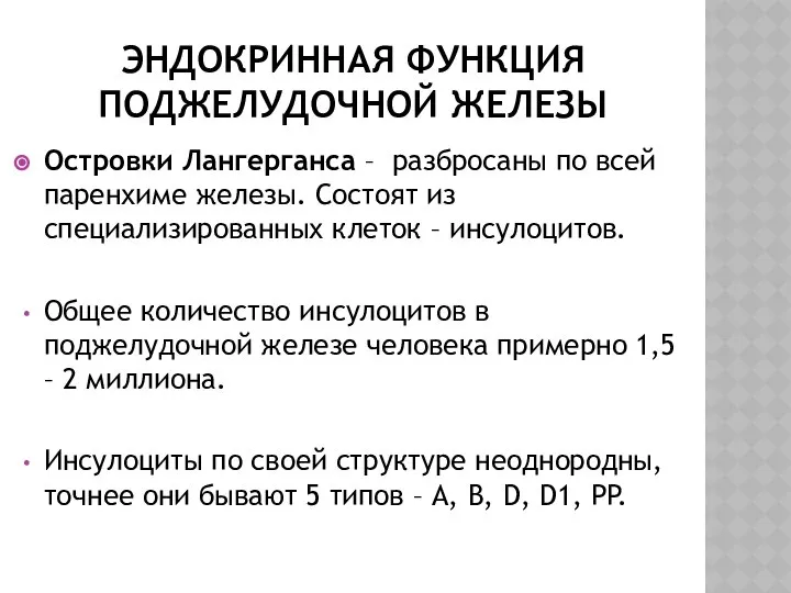 ЭНДОКРИННАЯ ФУНКЦИЯ ПОДЖЕЛУДОЧНОЙ ЖЕЛЕЗЫ Островки Лангерганса – разбросаны по всей паренхиме