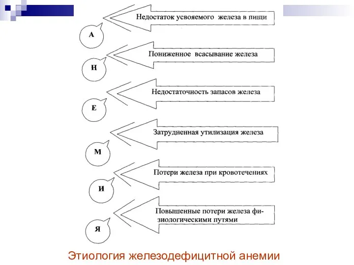 Этиология железодефицитной анемии