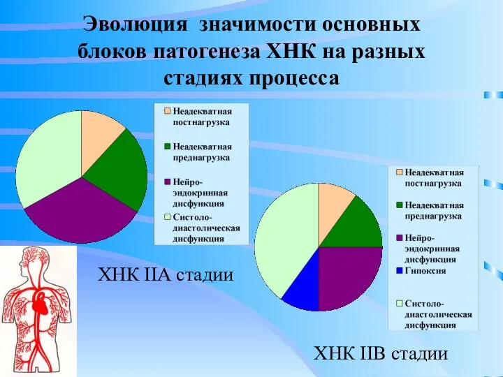 Эволюция значимости основных блоков патогенеза ХНК на разных стадиях процесса ХНК IIА стадии ХНК IIВ стадии