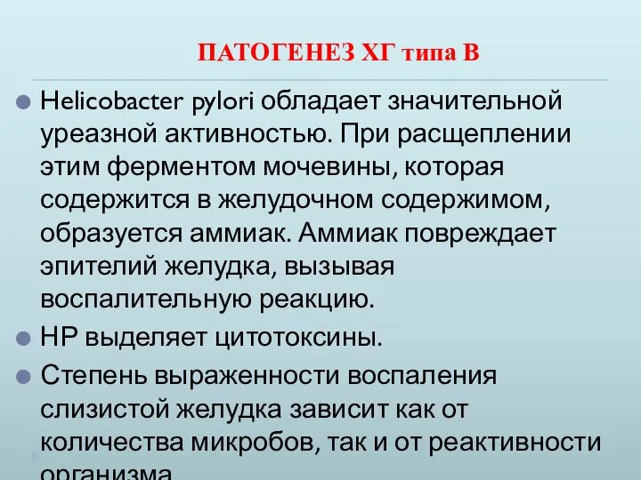 ПАТОГЕНЕЗ ХГ типа В Helicobacter pylori обладает значительной уреазной активностью. При