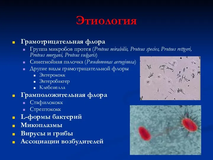 Этиология Грамотрицательная флора Группа микробов протея (Proteus mirabilis, Proteus species, Proteus