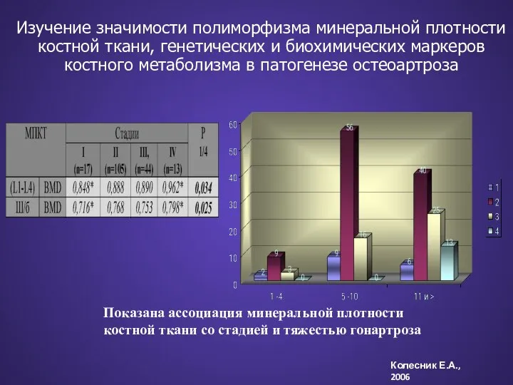 Показана ассоциация минеральной плотности костной ткани со стадией и тяжестью гонартроза