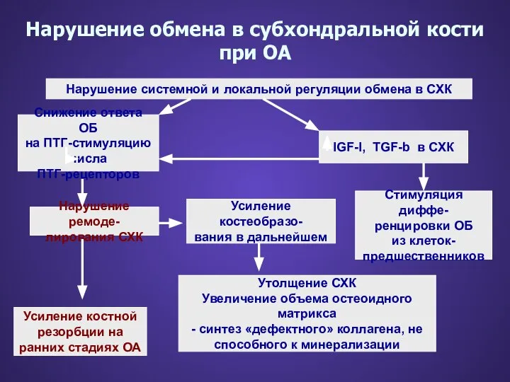 Нарушение обмена в субхондральной кости при ОА Снижение ответа ОБ на