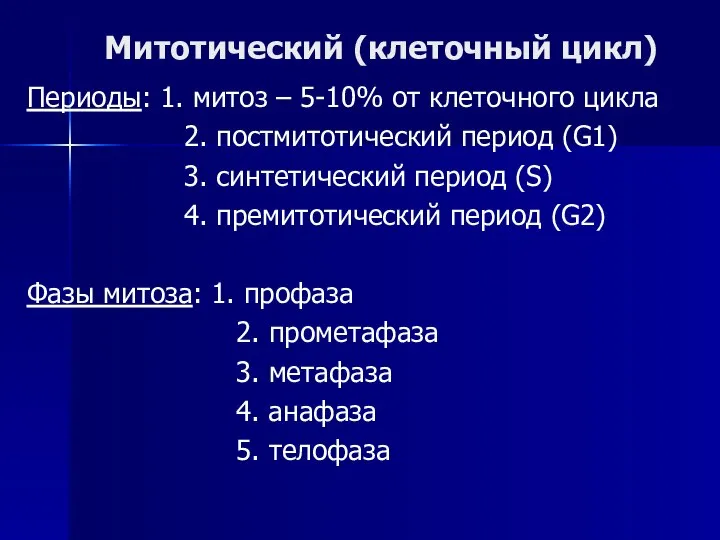 Митотический (клеточный цикл) Периоды: 1. митоз – 5-10% от клеточного цикла