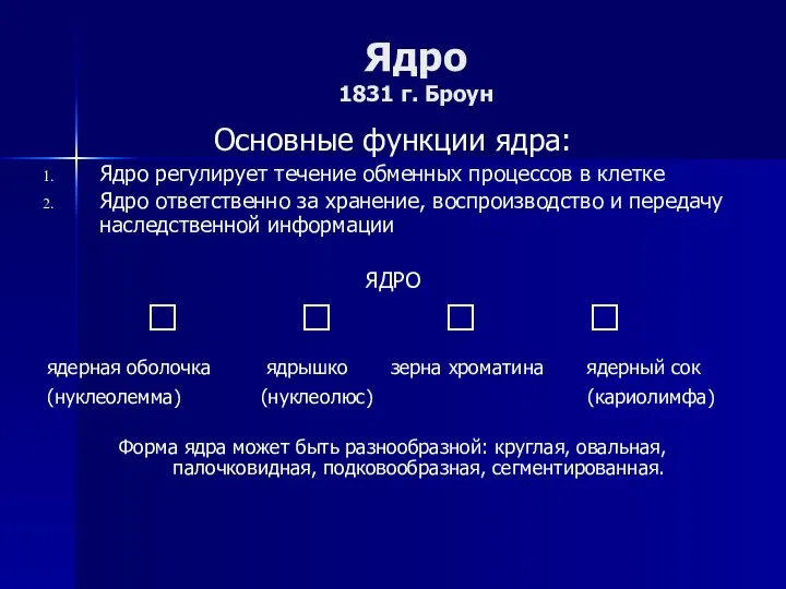 Ядро 1831 г. Броун Основные функции ядра: Ядро регулирует течение обменных