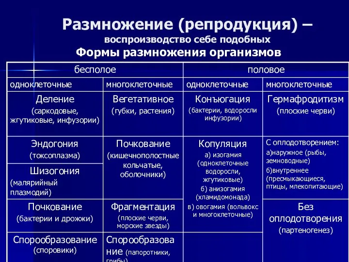 Размножение (репродукция) – воспроизводство себе подобных Формы размножения организмов