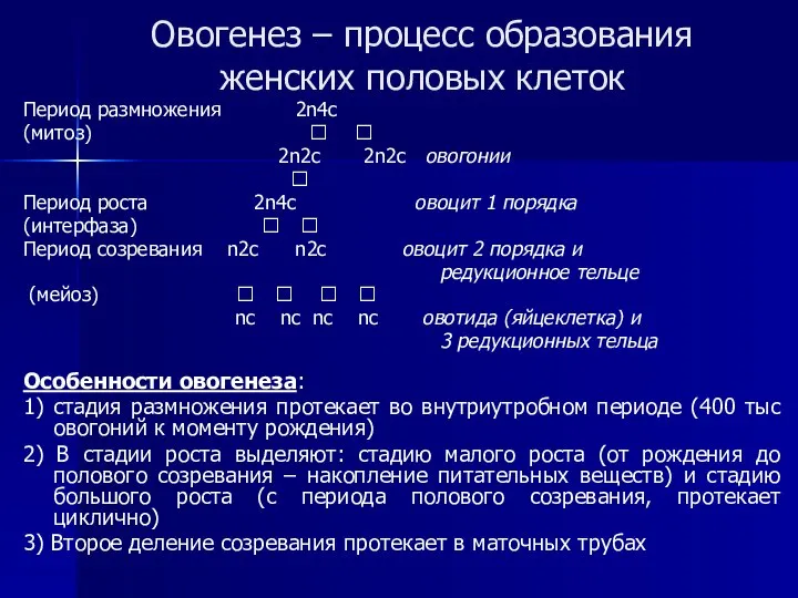 Овогенез – процесс образования женских половых клеток Период размножения 2n4c (митоз)