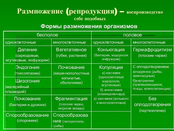 Размножение (репродукция) – воспроизводство себе подобных Формы размножения организмов