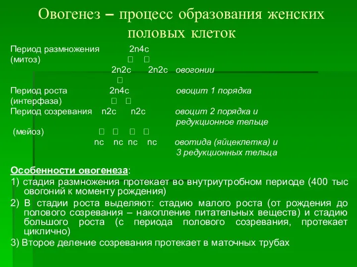 Овогенез – процесс образования женских половых клеток Период размножения 2n4c (митоз)