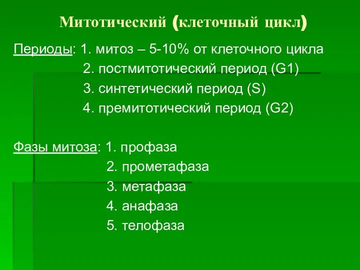 Митотический (клеточный цикл) Периоды: 1. митоз – 5-10% от клеточного цикла