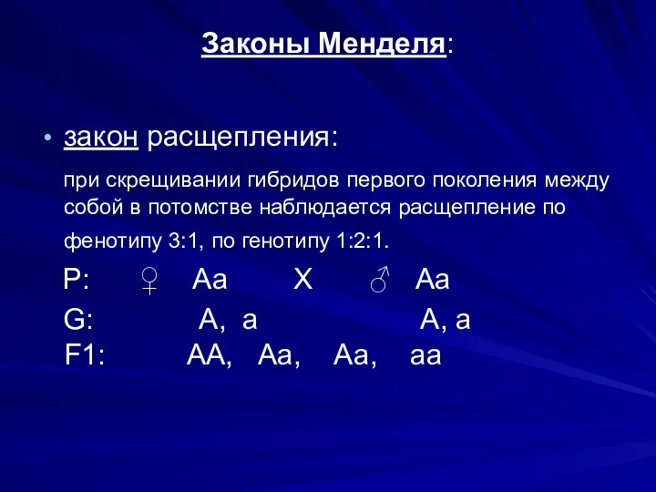 Законы Менделя: закон расщепления: при скрещивании гибридов первого поколения между собой