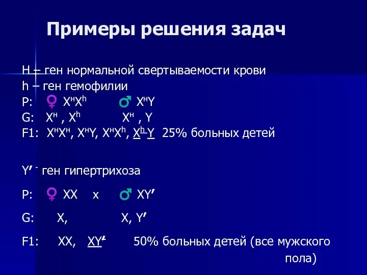 Примеры решения задач H – ген нормальной свертываемости крови h –