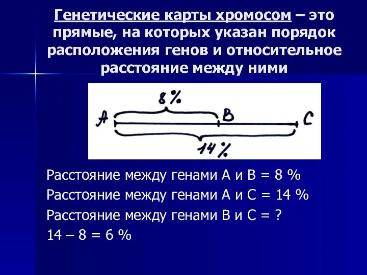 Генетические карты хромосом – это прямые, на которых указан порядок расположения