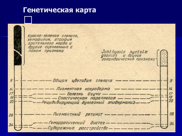 Генетическая карта ?