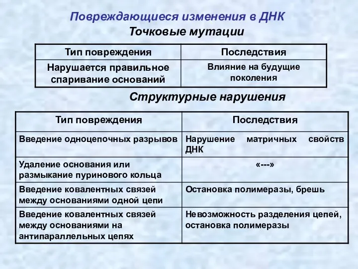 Повреждающиеся изменения в ДНК Точковые мутации Структурные нарушения