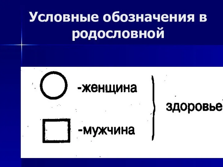 Условные обозначения в родословной