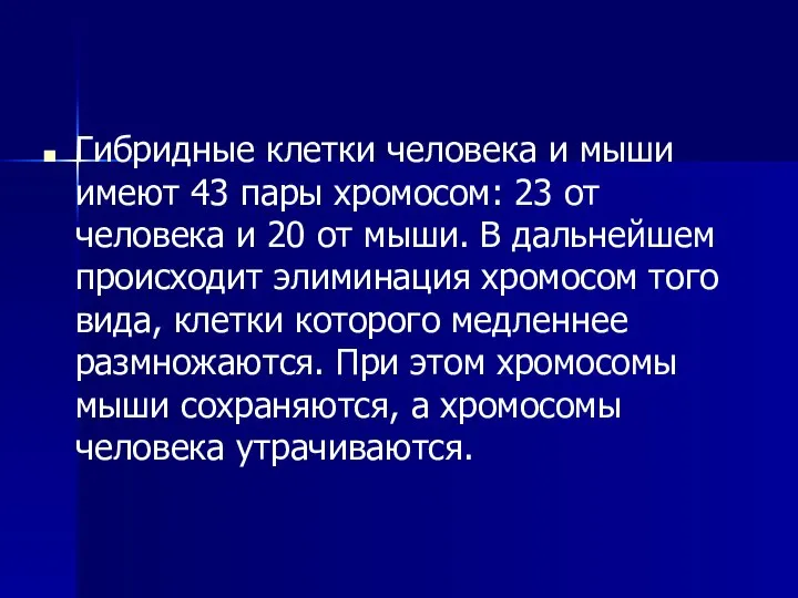 Гибридные клетки человека и мыши имеют 43 пары хромосом: 23 от