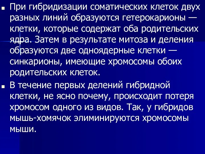 При гибридизации соматических клеток двух разных линий образуются гетерокарионы — клетки,