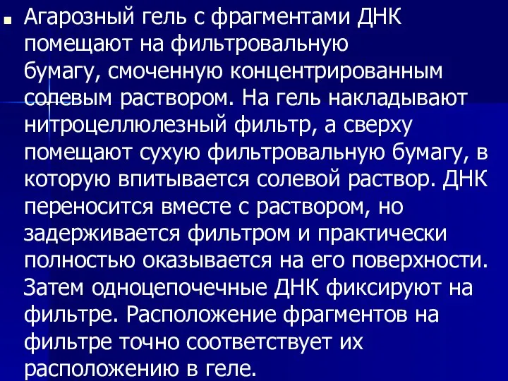 Агарозный гель с фрагментами ДНК помещают на фильтровальную бумагу, смоченную концентрирован­ным