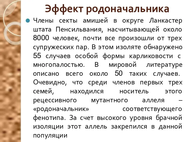 Эффект родоначальника Члены секты амишей в округе Ланкастер штата Пенсильвания, насчитывающей