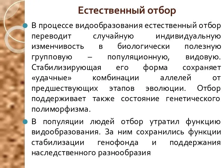 Естественный отбор В процессе видообразования естественный отбор переводит случайную индивидуальную изменчивость