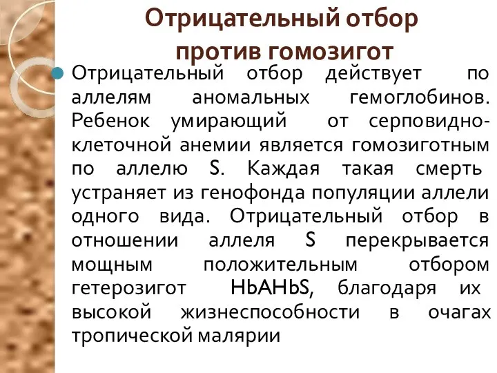 Отрицательный отбор против гомозигот Отрицательный отбор действует по аллелям аномальных гемоглобинов.