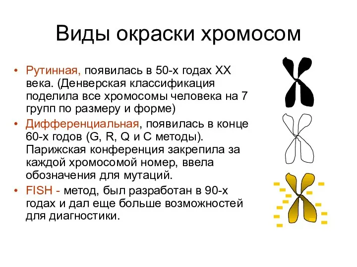 Виды окраски хромосом Рутинная, появилась в 50-х годах ХХ века. (Денверская