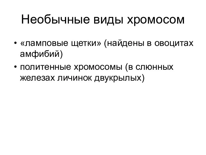 Необычные виды хромосом «ламповые щетки» (найдены в овоцитах амфибий) политенные хромосомы (в слюнных железах личинок двукрылых)