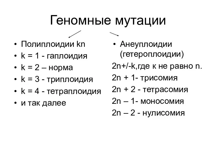 Геномные мутации Полиплоидии kn k = 1 - гаплоидия k =