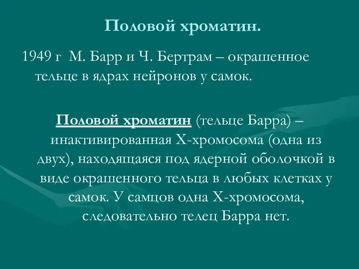 Половой хроматин. 1949 г М. Барр и Ч. Бертрам – окрашенное