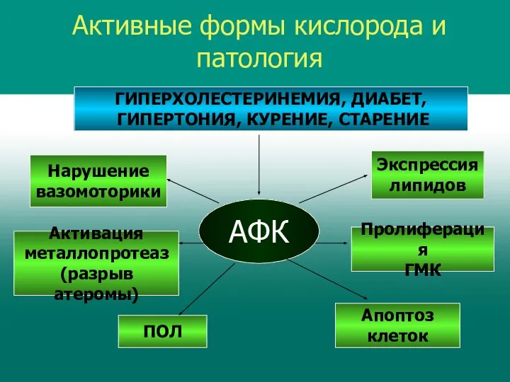 Активные формы кислорода и патология АФК ГИПЕРХОЛЕСТЕРИНЕМИЯ, ДИАБЕТ, ГИПЕРТОНИЯ, КУРЕНИЕ, СТАРЕНИЕ