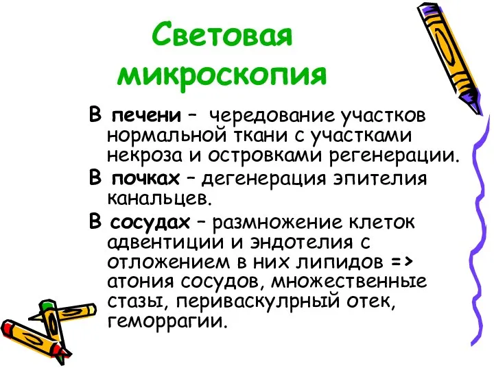 Световая микроскопия В печени – чередование участков нормальной ткани с участками