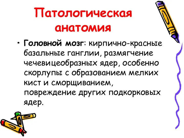 Патологическая анатомия Головной мозг: кирпично-красные базальные ганглии, размягчение чечевицеобразных ядер, особенно