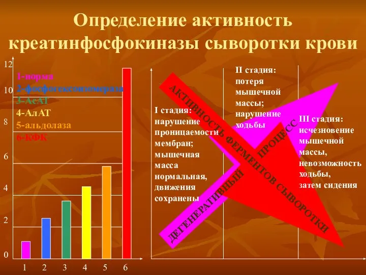 Определение активность креатинфосфокиназы сыворотки крови 12 10 8 6 4 2