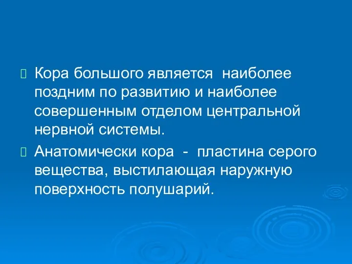 Кора большого является наиболее поздним по развитию и наиболее совершенным отделом