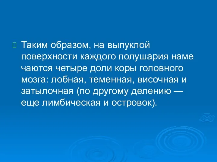 Таким образом, на выпуклой поверхности каждого полушария наме­чаются четыре доли коры