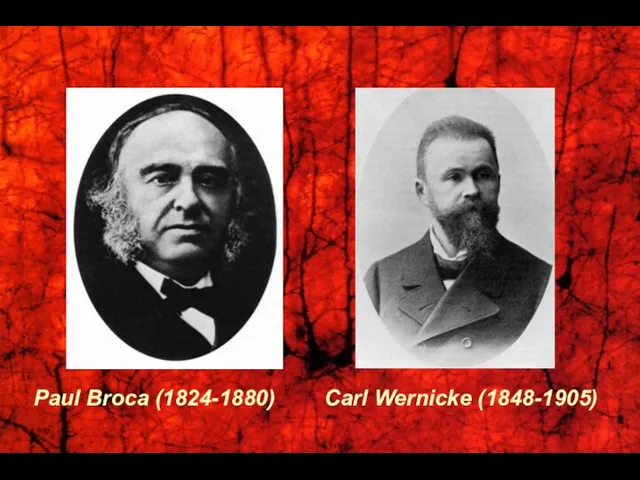Paul Broca (1824-1880) Carl Wernicke (1848-1905)