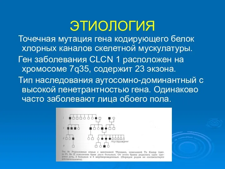 ЭТИОЛОГИЯ Точечная мутация гена кодирующего белок хлорных каналов скелетной мускулатуры. Ген